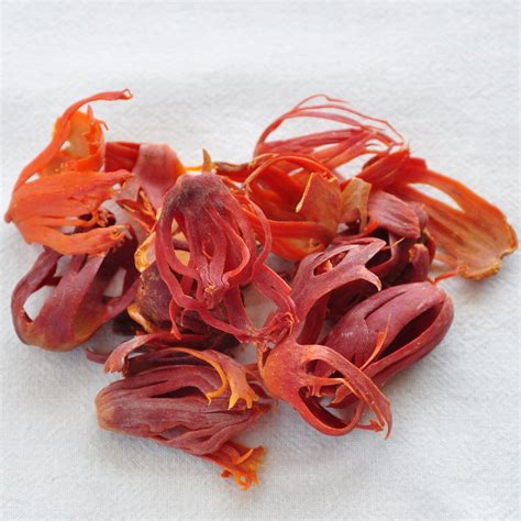 Buy Best Quality pure and fresh Nutmeg mace, Kerala