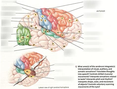 Cortex 的图像结果
