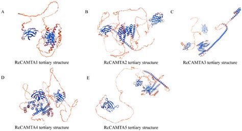 Genome-Wide Identification and Expression Analysis of the CAMTA Gene ...