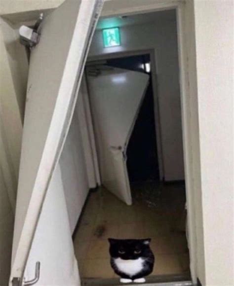 Image result for Falling Tools Sound Effect