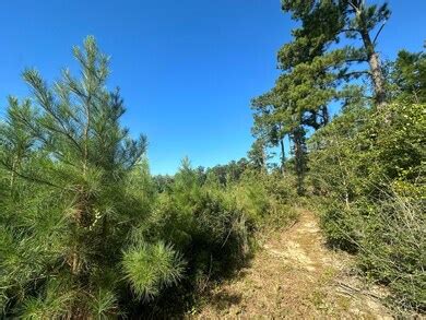 Parcel E Millside Rd, Laurel Hill, FL 32567 [Lot/Land] | Homes.com