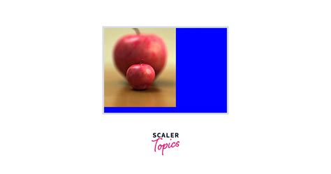 How to Change Image Position in CSS 的图像结果