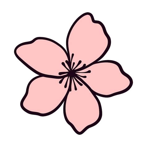 Cherry blossom clipart Images - Free Download on Freepik