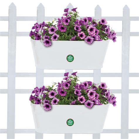 Oval Railing Planter Ivory - Set of 2 – TrustBasket