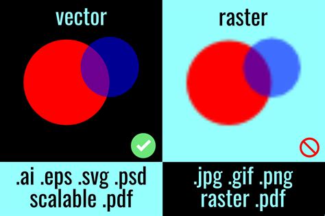 Image result for Raster vs Vector PNG