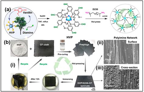 A Critical Review of Sustainable Vanillin-modified Vitrimers: Synthesis ...