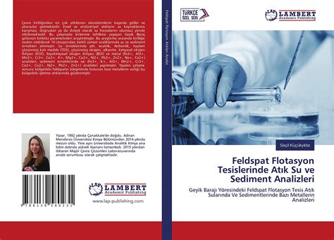 Buy Feldspat Flotasyon Tesislerinde Atik Su ve Sediment Analizleri ...