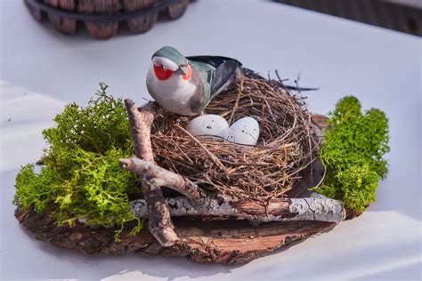 Real Natural Bird Nest, Spring Decor, Easter Decor, Natural Nest, Bird ...
