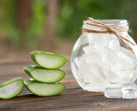 Aloe Vera Juice Benefits For Health: How To Make It At Home | Herzindagi