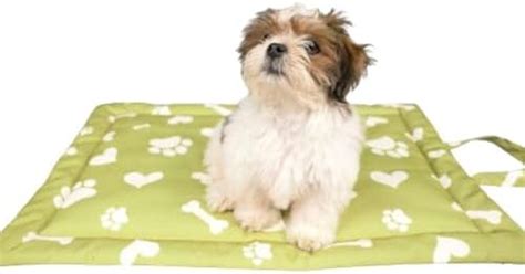 Pet Set Go Paws and Bones Heavens Poly Canvas Printed Rectangle Pet Mat ...