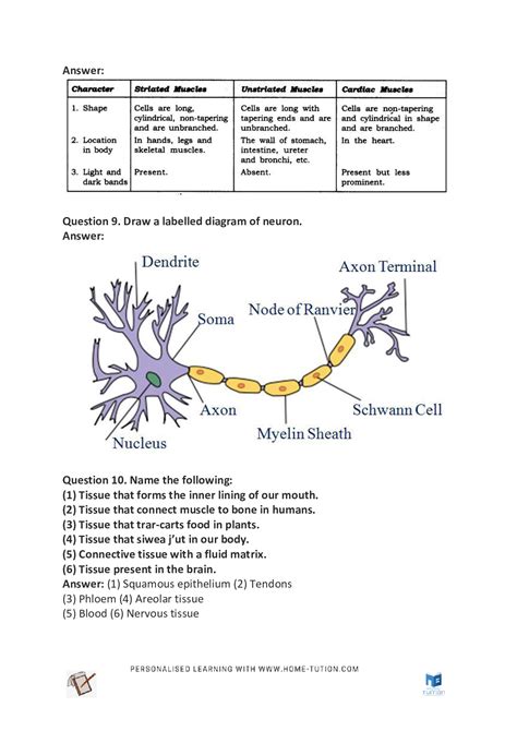 Image result for Class 9th Science Chapter Tissues