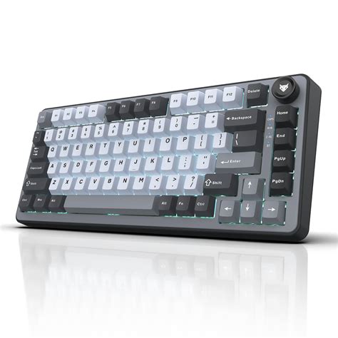 EvoFox Ronin X75 Tri-Mode Wireless Mechanical Keyboard| Gasket Mount, 5 ...