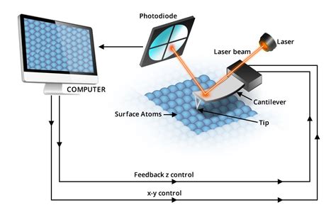 Image result for SPM Tutorial