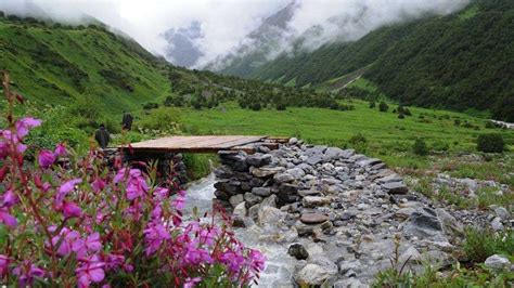 Best Places: बसंत की बहार में इन बेहतरीन जगहों पर जाएं घूमने, सुहावने ...