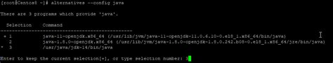 Manage Multiple Java Versions CentOS 的图像结果