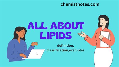 Lipid: Definition, classification, examples, and 7 reliable function ...