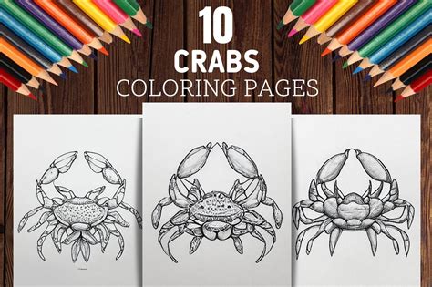 Crabs Coloring Pages - Crab Printable Illustration par Bonobo Digital ...