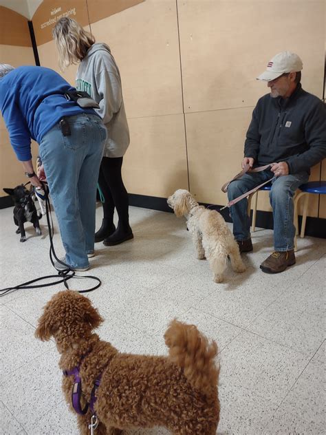 MISSOURI VALLEY VET - COMMERCE - Bismarck ND - Hours, Directions ...