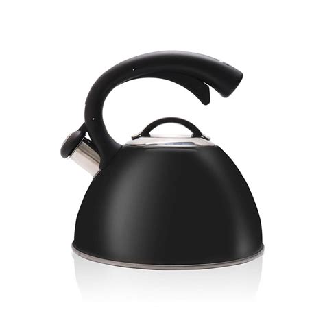 Buy 304 Stainless Steel Kettle 2.5L Black Whistling Kettle Gas Cooker ...