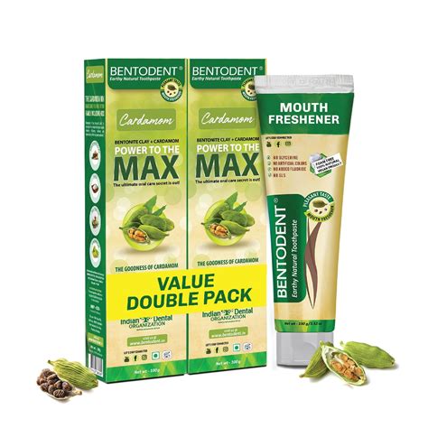 Buy Bentodent Natural Toothpaste | Herbal Whitening & Daily Oral Detox ...
