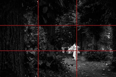 Image result for Composition Photography Examples