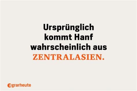 Hätten Sie's gewusst: 25 Fakten über Hanf | agrarheute.com