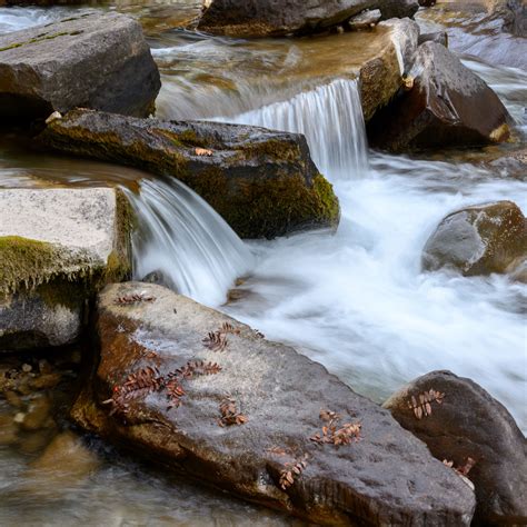 Download wallpaper 2780x2780 stream, stones, water, leaves, autumn ipad ...