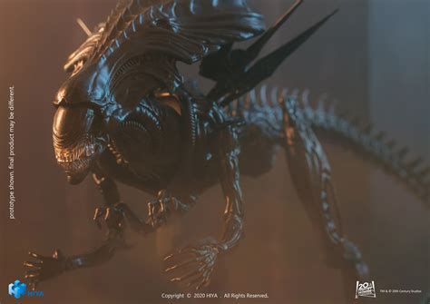 Image result for Alien Queen Alein vs.Predator