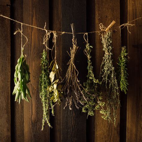 Organic Seed Advent Calendars by Magic Garden Seeds