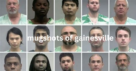 Mugshots of Gainesville: Your Complete Guide to Arrest Records and ...