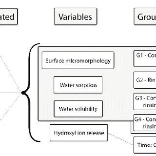 Experimental design diagram. | Download Scientific Diagram