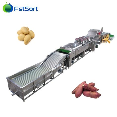 Image result for Potato Sorting Machine