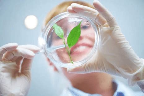 GATE ES Raw Score vs Scaled Score Analysis 2024 | CollegeDekho