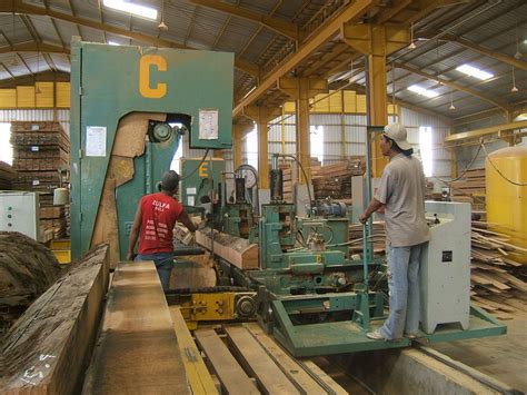 Image result for Wood Processing