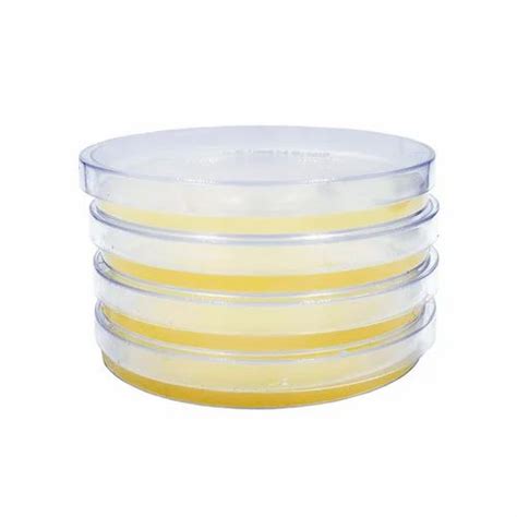 Agar Plate - Nutrient Agar Powder Trader - Wholesaler / Distributor ...