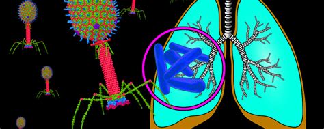 Bacteria | Research Matters