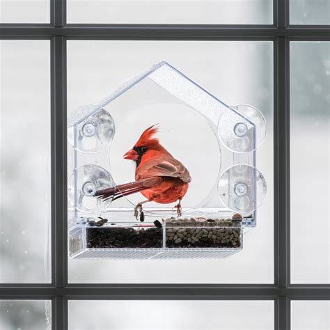 Best Window Bird Feeder | Nature Anywhere