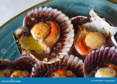 Scallops from the Cantabrian Sea with Olive Oil and Salt in a Blue ...