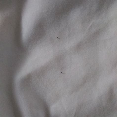 DAYS INN BY WYNDHAM MANITOWOC - Hotel Reviews & Photos - Tripadvisor