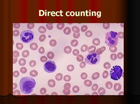 Image result for WBC Count Microscope
