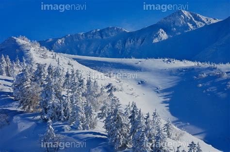【十勝岳温泉から見た霧氷の森と三峰山】の画像素材(31352045) | 写真素材ならイメージナビ