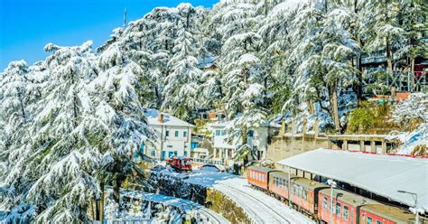 Shimla’s rare December snowfall turns the hill station magical | Times ...