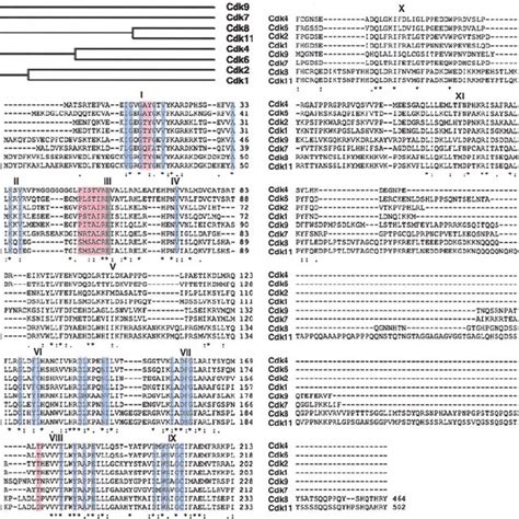 CDK Patterns 的图像结果