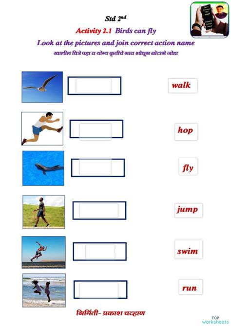 Bird Fly Worksheet 的图像结果