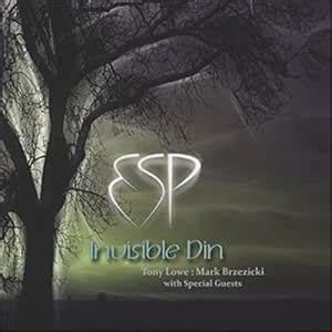 Invisible Din: Lowe & Brzezicki's Esp: Amazon.in: Music}