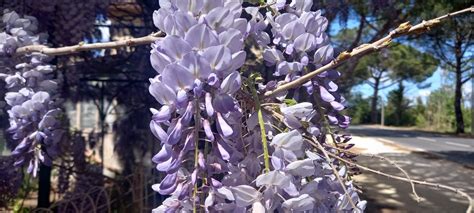 Image result for Advanced Java Concepts