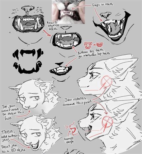 drawing reference, cats drawing reference, cat images, cat pictures ...