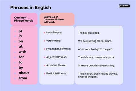 Types of Phrases | Promova Grammar (2025)