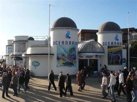 Oceanarium Bournemouth , bournemouth, United Kingdom - Top Attractions ...