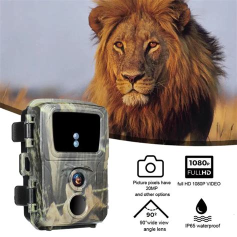 Mini 600 Trail Camera Set Up On This Computer 的图像结果